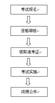 中醫(yī)兒科高級職稱考試流程圖
