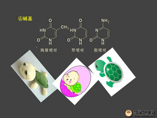 執(zhí)業(yè)藥師藥物化學(xué)官能團-記憶技巧