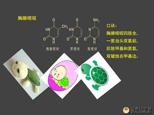 執(zhí)業(yè)藥師藥物化學(xué)官能團-記憶技巧