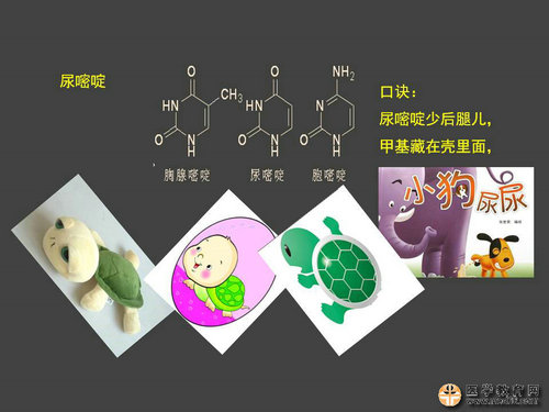執(zhí)業(yè)藥師藥物化學(xué)官能團-記憶技巧
