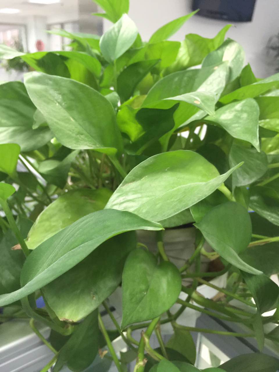 早泄常做檢查項(xiàng)目有哪些？早泄如何預(yù)防與保健？