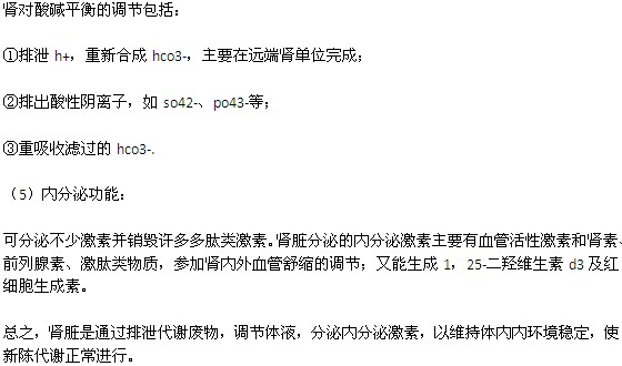 人體腎臟主要有哪些功能？