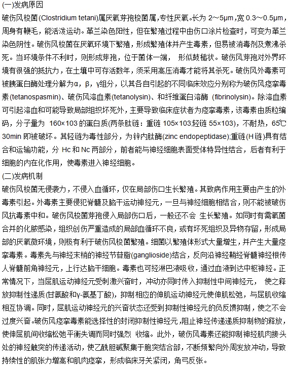 破傷風(fēng)的發(fā)病原理與發(fā)病機(jī)制是什么？