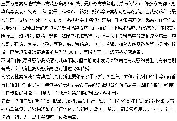 禽流感病毒有哪些傳染源？