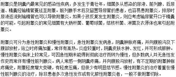 附睪炎到底是一種什么疾病