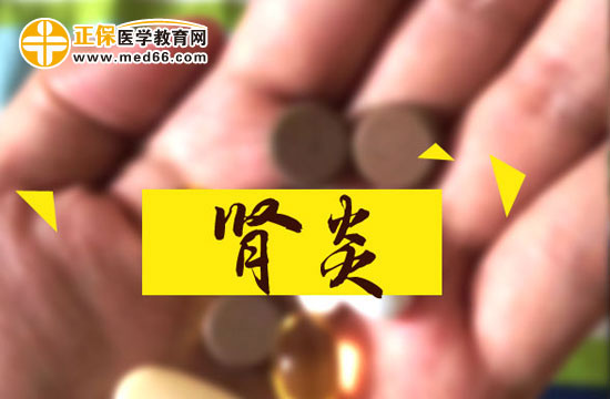 腎炎患者的茶飲療法有哪些？