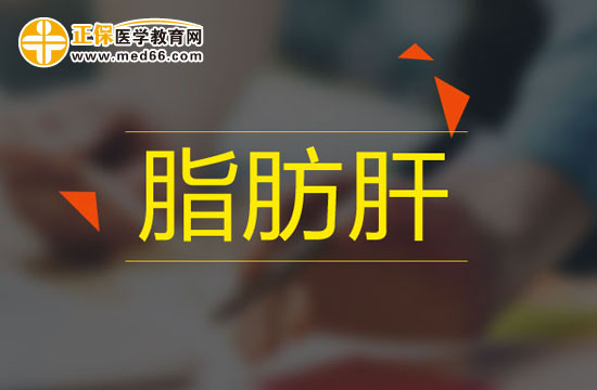 脂肪肝患者應(yīng)該從哪些方面進(jìn)行治療？