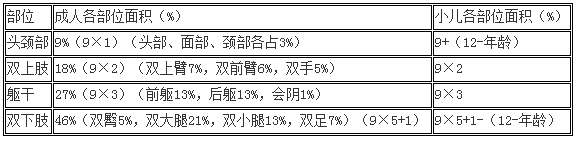 臨床執(zhí)業(yè)醫(yī)師輔其他科目輔導-燒傷面積計算
