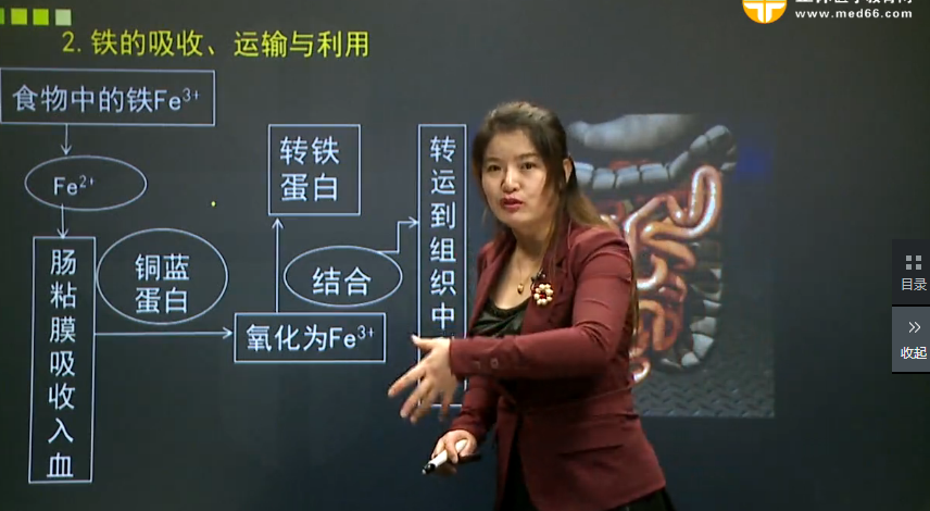 缺鐵性貧血的病因和臨床表現
