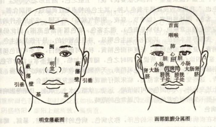 【中醫(yī)診斷】2019年中醫(yī)助理醫(yī)師考試中醫(yī)診斷學精華考點