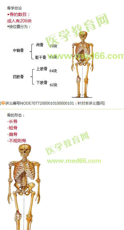 2019年臨床執(zhí)業(yè)醫(yī)師解剖學課程更新啦