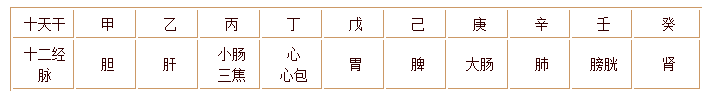 天干配臟腑經(jīng)絡