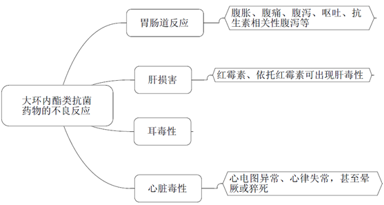 大環(huán)內(nèi)酯類抗菌藥物作用機(jī)制/不良反應(yīng)