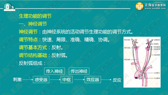 醫(yī)療衛(wèi)生考試筆試備考指導(dǎo)來(lái)了，共計(jì)2863頁(yè)書(shū)！怎么學(xué)？