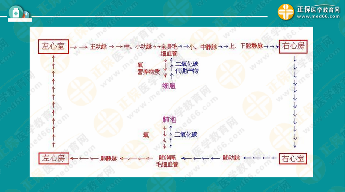 醫(yī)療衛(wèi)生考試筆試備考指導(dǎo)來(lái)了，共計(jì)2863頁(yè)書(shū)！怎么學(xué)？