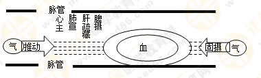 專業(yè)師資帶你學(xué)（八）：執(zhí)業(yè)藥師《中藥綜》生命活動(dòng)的基本物質(zhì)！善用圖解！