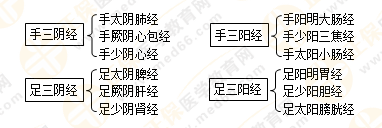 專業(yè)師資帶你學(xué)（九）：執(zhí)業(yè)藥師《中藥綜》經(jīng)絡(luò)與經(jīng)絡(luò)系統(tǒng)！5圖2表！