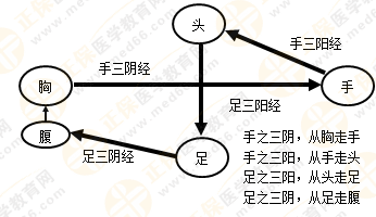 專業(yè)師資帶你學(xué)（九）：執(zhí)業(yè)藥師《中藥綜》經(jīng)絡(luò)與經(jīng)絡(luò)系統(tǒng)！5圖2表！