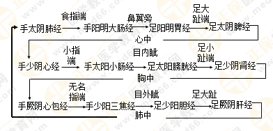 專業(yè)師資帶你學(xué)（九）：執(zhí)業(yè)藥師《中藥綜》經(jīng)絡(luò)與經(jīng)絡(luò)系統(tǒng)！5圖2表！