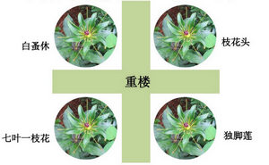 “神藥”的招牌一朝被毀！你對這個執(zhí)業(yè)藥師?？妓幜私舛嗌?？！