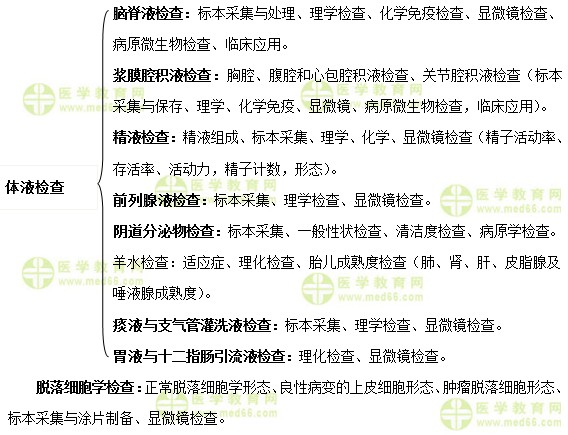 臨床檢驗基礎重點學習內(nèi)容介紹