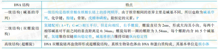DNA各級結構的特點
