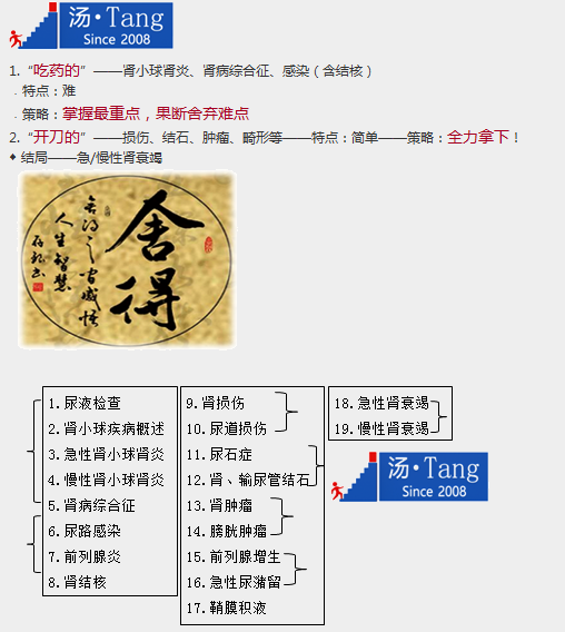 臨床執(zhí)業(yè)助理醫(yī)師泌尿系統(tǒng)特點及19個重點小結