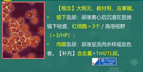 湯以恒2019臨床執(zhí)業(yè)醫(yī)師泌尿系統(tǒng)科目免費視頻課更新！