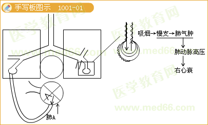 實(shí)踐技能輔導(dǎo)精華