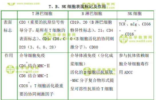 T、B、NK細(xì)胞表面標(biāo)記及作用
