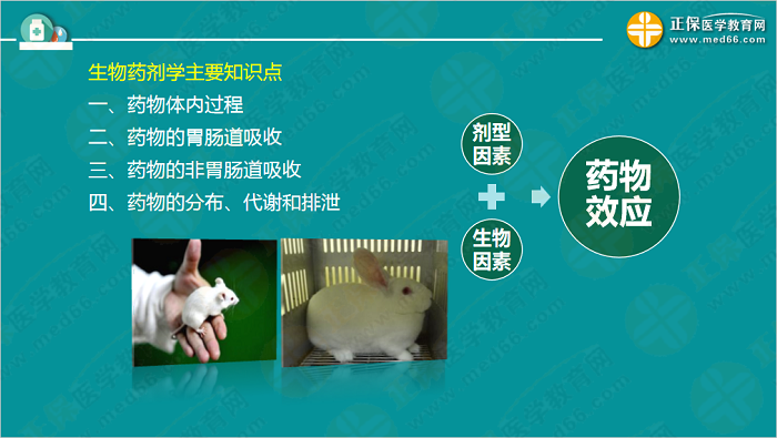 【視頻】考前70天！錢韻文教你如何高效復(fù)習執(zhí)業(yè)藥師！