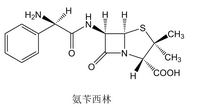 【西藥三科】執(zhí)業(yè)藥師考試西藥三科出題規(guī)律｜重難點匯總！
