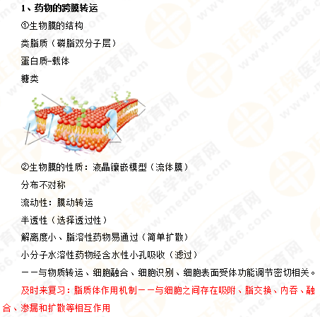2019年執(zhí)業(yè)藥師《藥一》的藥劑學，15分鐘經(jīng)典回顧！