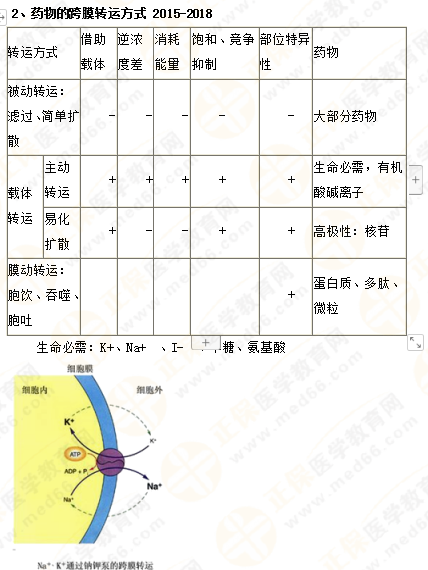 2019年執(zhí)業(yè)藥師《藥一》的藥劑學，15分鐘經(jīng)典回顧！