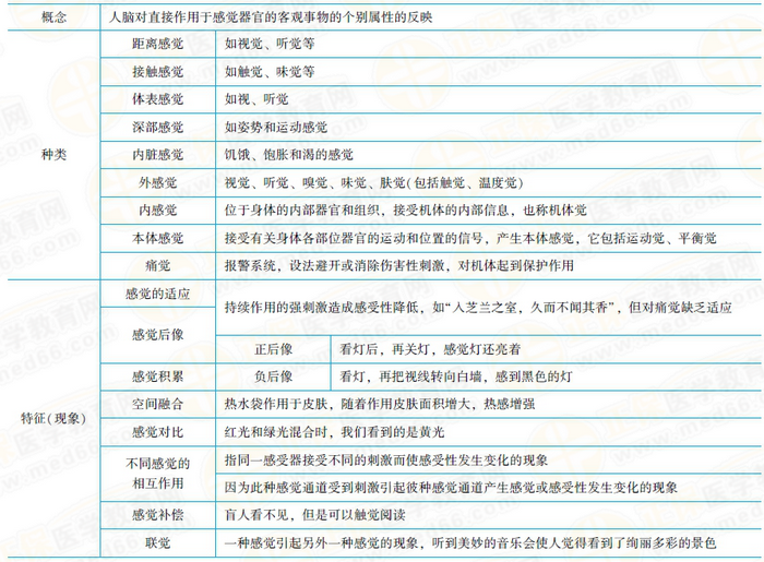 感覺的相關(guān)考點總結(jié)