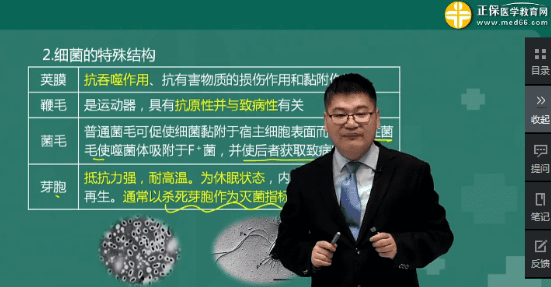 細(xì)菌的運(yùn)動形式選鞭毛還是菌毛