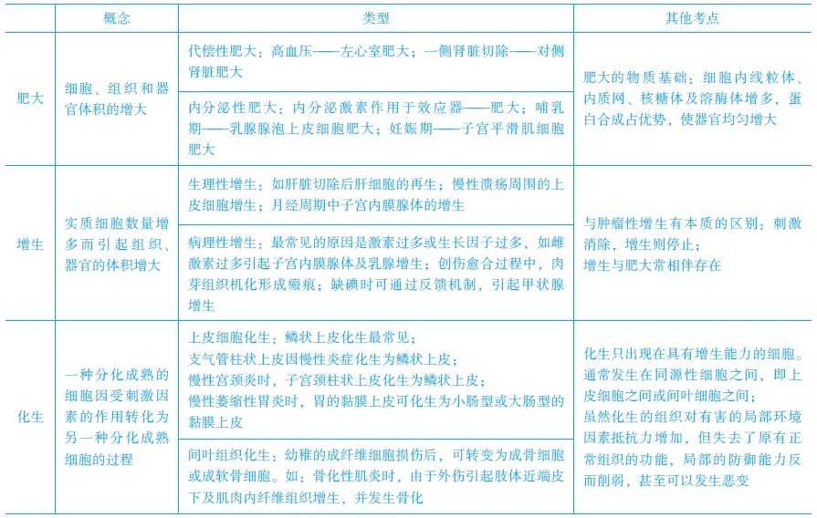 增生、化生和肥大的常見考點(diǎn)　