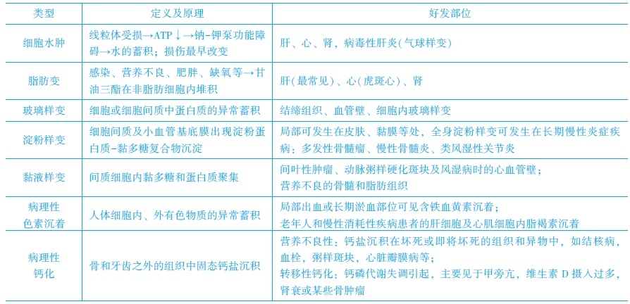 　可逆性損傷的?？键c(diǎn)