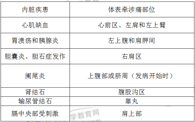 臨床常見內臟疾患的體表牽涉痛部位
