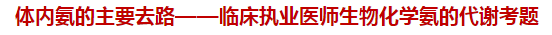 體內(nèi)氨的主要去路——臨床執(zhí)業(yè)醫(yī)師生物化學氨的代謝試題