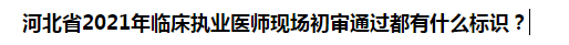 河北省2021年臨床執(zhí)業(yè)醫(yī)師現(xiàn)場(chǎng)初審?fù)ㄟ^都有什么標(biāo)識(shí)？