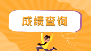 軍隊考生在哪查衛(wèi)生初中級職稱考試成績？