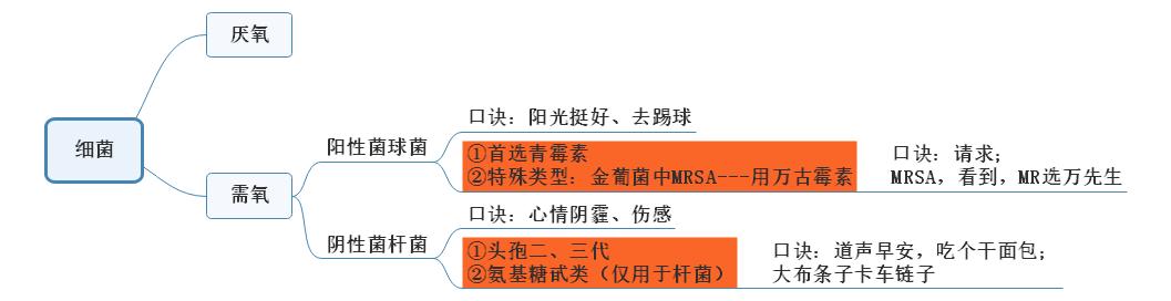 肺炎細菌感染總結