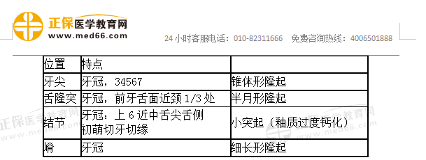 口腔解剖生理學易混淆考點