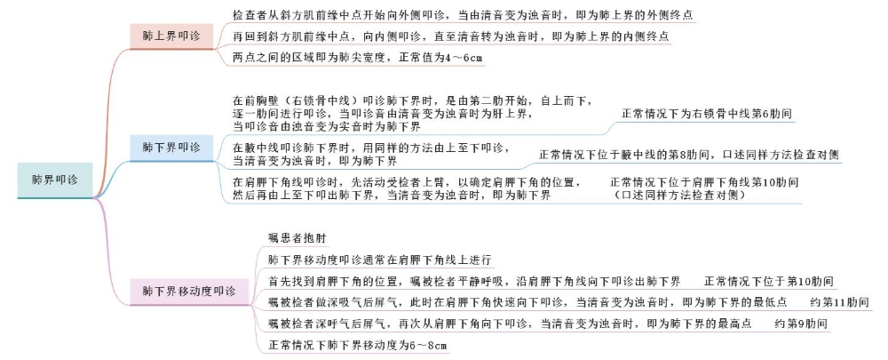 體格檢查——肺界叩診、肺下界移動(dòng)度叩診