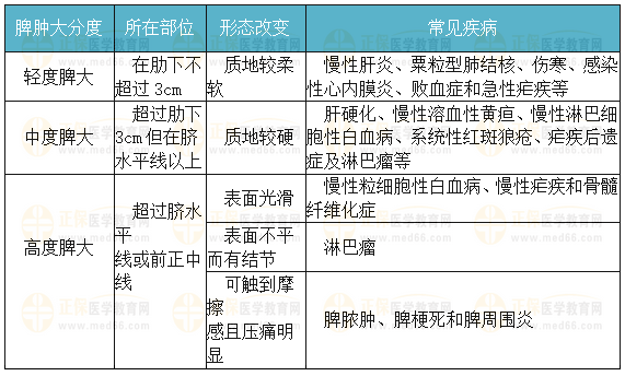 脾臟腫大測(cè)量法和分度 脾臟腫大測(cè)量法和分度