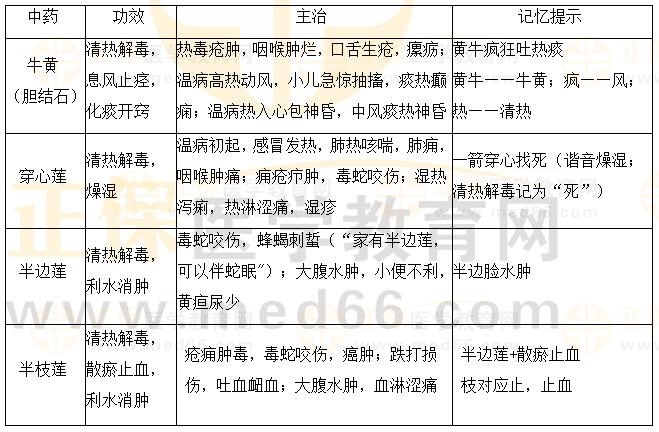 清熱解毒藥之三個“蓮”一個“結(jié)石”-2023《中藥二》必學(xué)考點(diǎn)