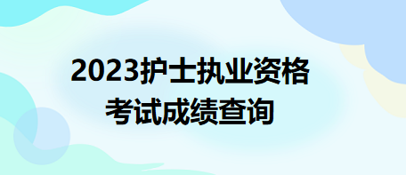 2023護(hù)士執(zhí)業(yè)資格考試成績(jī)查詢