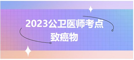 2023公衛(wèi)醫(yī)師考點(diǎn)致癌物
