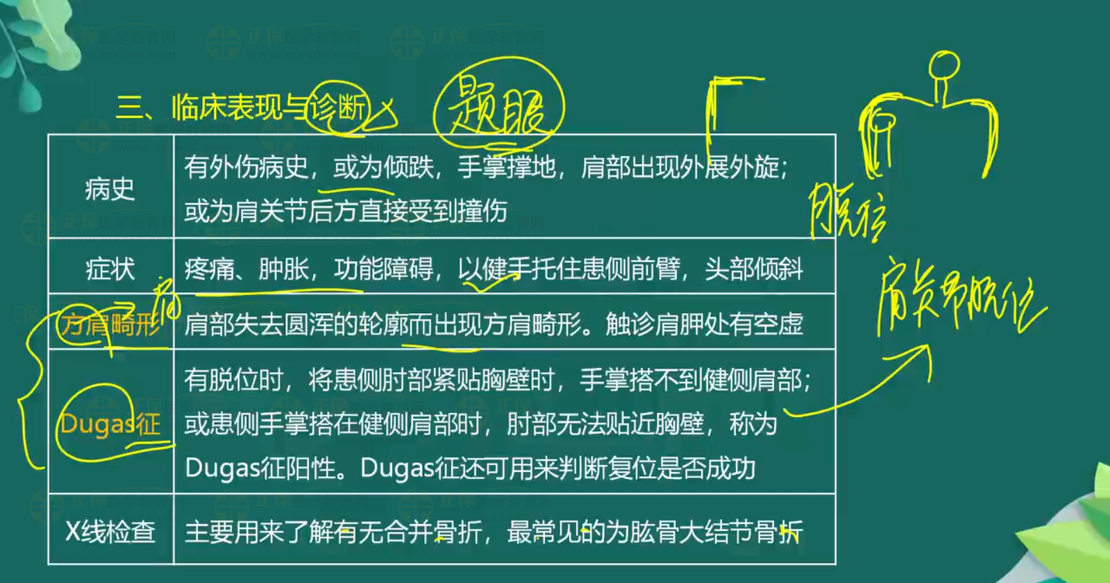關(guān)節(jié)脫位-顳下頜關(guān)節(jié)脫位、肩關(guān)節(jié)脫位知識點總結(jié)-3